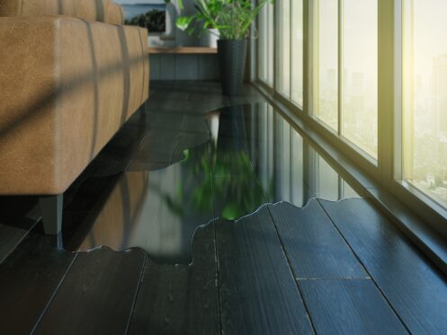 Leak Repair in Denver, CO
